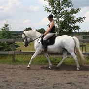 Connemara Rainy Morning