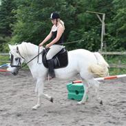 Connemara Rainy Morning