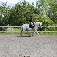 Connemara Rainy Morning