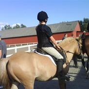 Anden særlig race Frede. | dengang xD