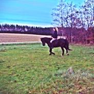 Anden særlig race mike