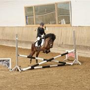 Anden særlig race Batman ("Solgt")