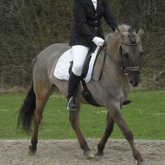 Anden særlig race Hannibal ( tidl. part)