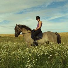 Anden særlig race Hannibal ( tidl. part)