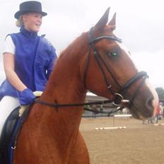 Frederiksborg arkebal