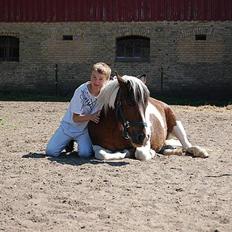 Anden særlig race Hidalgo