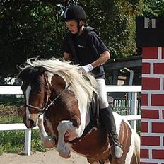 Anden særlig race Hidalgo