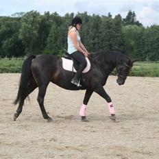 Oldenborg Dea gammel part. 