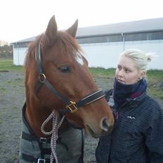 Anden særlig race Jolien - R.I.P :'(