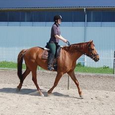 Anden særlig race Jolien - R.I.P :'(