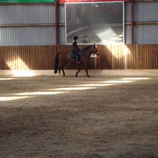 New Forest Toffifee(gl. udlån)