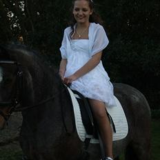 Tysk Sportspony Nelly  