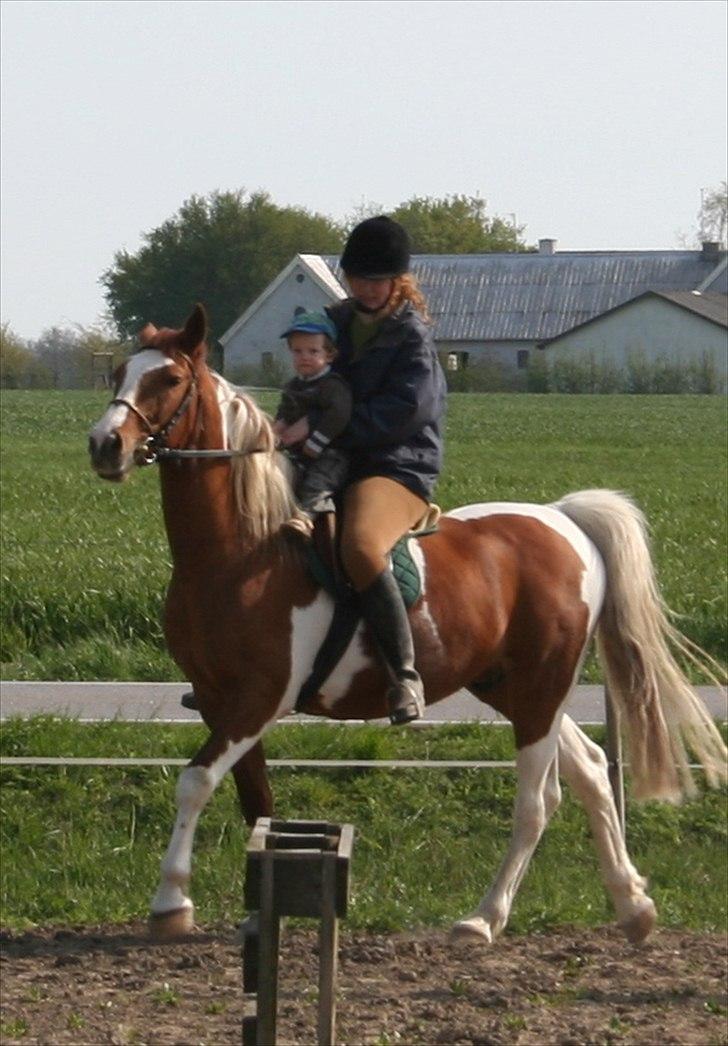 Pinto Pegasus   afdød :( - min søn og jeg på Pegasus billede 6