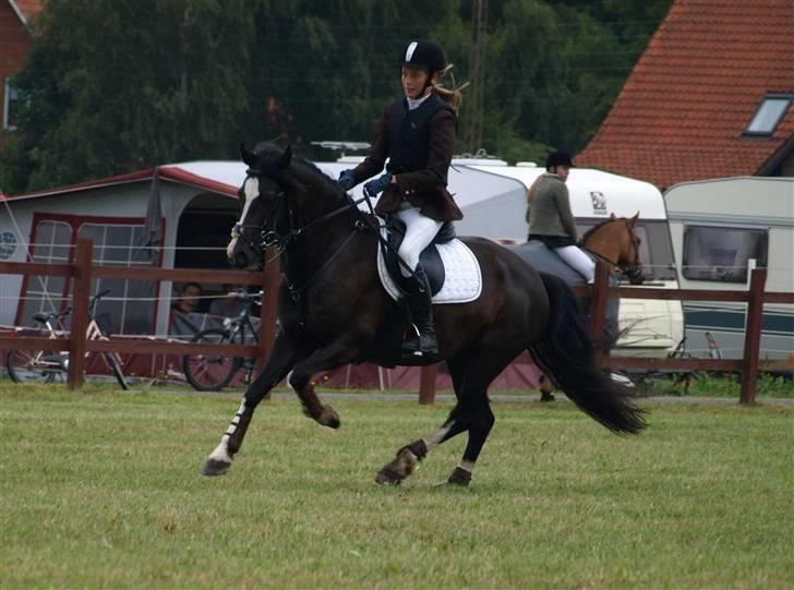 Anden særlig race |fenja| - {20} foto : amatør fotograf frida birk / FB FOTO  billede 19