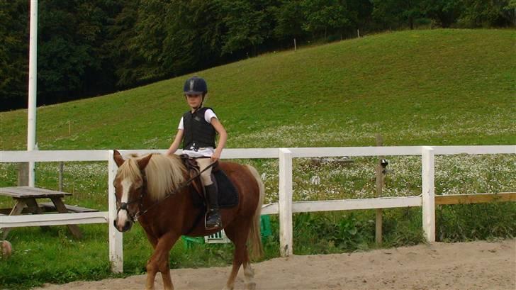 Anden særlig race Jack R.I.P :`( - den perfekte ride dag  billede 6