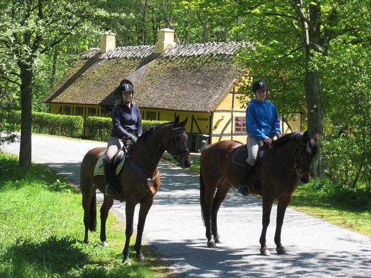 Anden særlig race PW's Tascha  billede 8