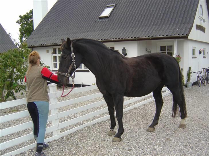 Anden særlig race Zorba - Zorba 2005 billede 14