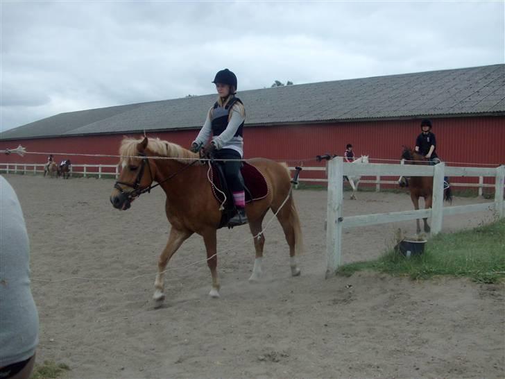 Anden særlig race Picasso!<3 - savnet. billede 10