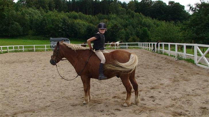 Anden særlig race Jack R.I.P :`( - line sidder du ikke helt forkert billede 8