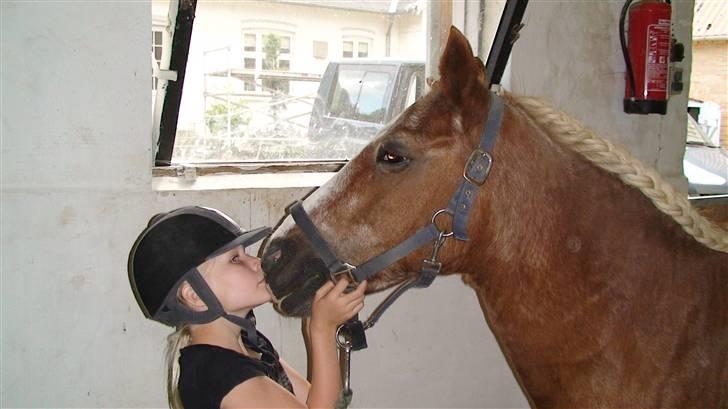 Anden særlig race Jack R.I.P :`( - ingen kysser bedre end line  billede 9