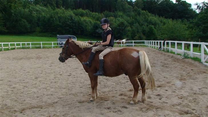 Anden særlig race Jack R.I.P :`( - hvad laver du dog line kan du så sidte dig ornliget billede 11