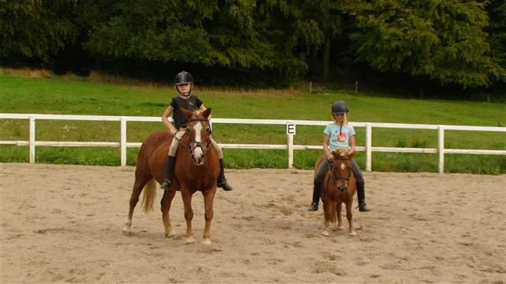 Anden særlig race Jack R.I.P :`( - ude at ride med lille stjerne billede 12