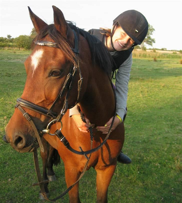 Anden særlig race Mr. Matrix - hygge :D billede 12