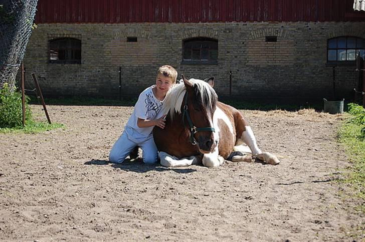 Anden særlig race Hidalgo - Bedste venner billede 2