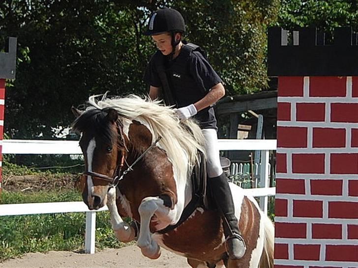 Anden særlig race Hidalgo - Muren for første gang 09 billede 3