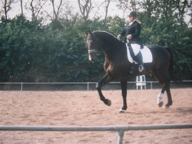 Holstener Carlos - Coriano billede 16