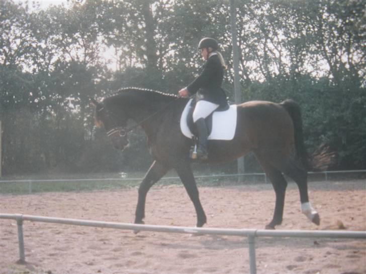 Holstener Carlos - Coriano billede 17