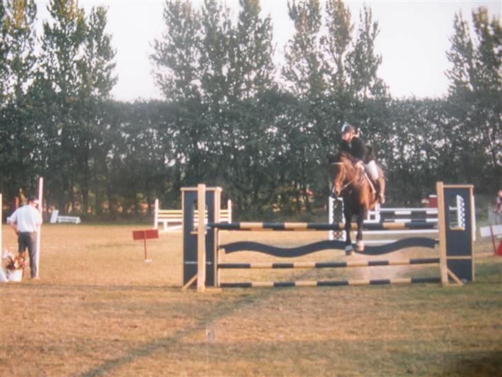 Holstener Carlos - Coriano billede 18