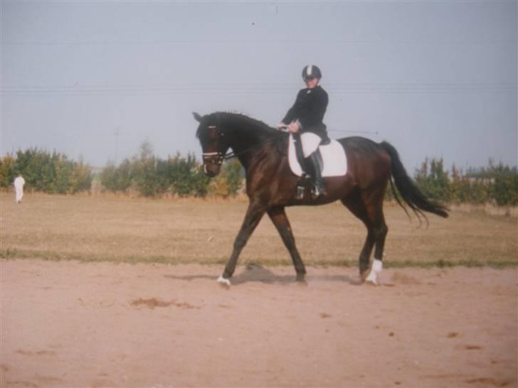 Holstener Carlos - Coriano billede 19