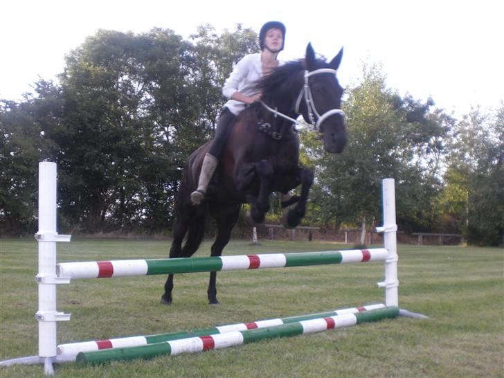 Traver Maggie Buttler*solgt :'(* billede 15