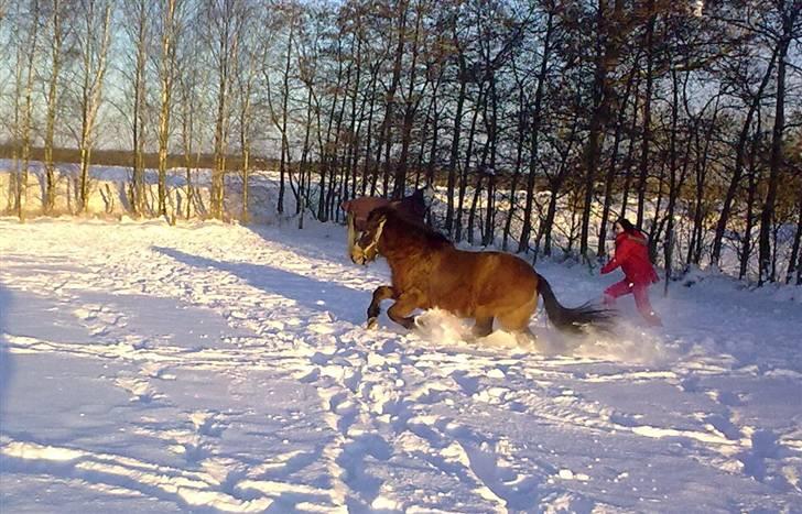 Anden særlig race Cookie. - Vinter leg. d.o4/o1-1o. Jeg elsker den krække..!! :D <3 Julie Fj Taget billedet. billede 1