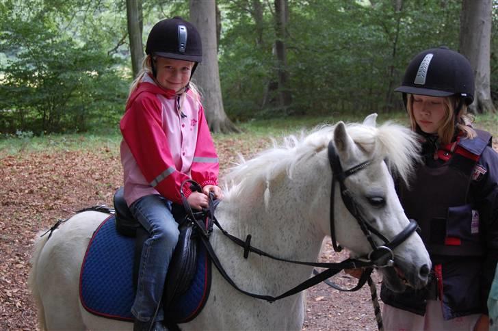 Anden særlig race Obelix - 6. obelix i skoven han er glad<3 billede 6