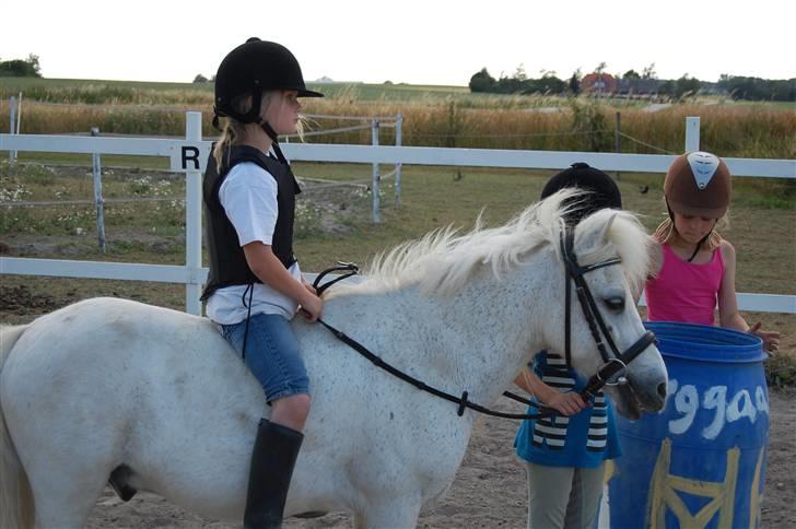 Anden særlig race Obelix - 7. obelix på ridelejer med en masse børn<3 billede 7