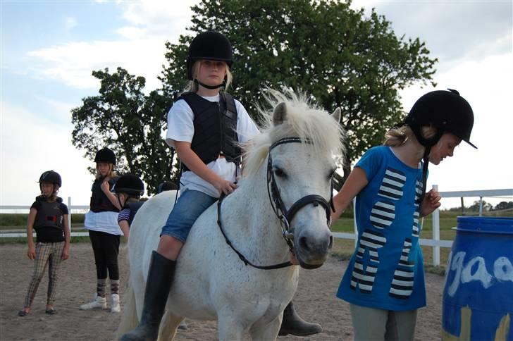 Anden særlig race Obelix - 8. obelix er  så glad med de børn der er<3 billede 8