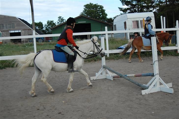 Anden særlig race Obelix - 9. obelix og mig der springer <3 billede 9