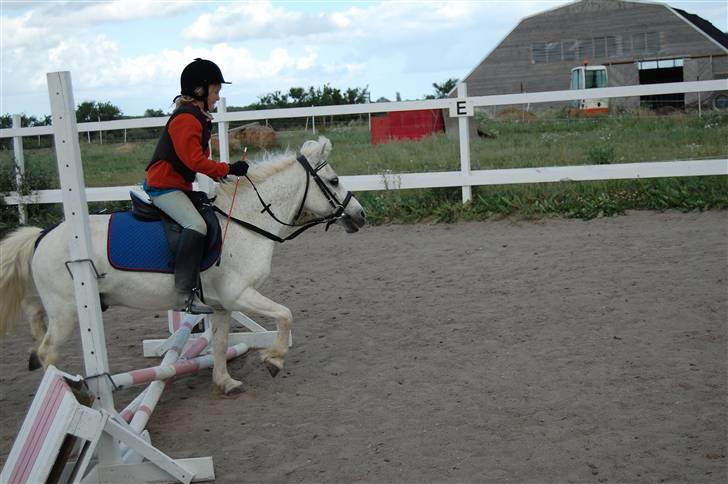 Anden særlig race Obelix - 10. obelix og mig springer det er super  sjovt <3 billede 10