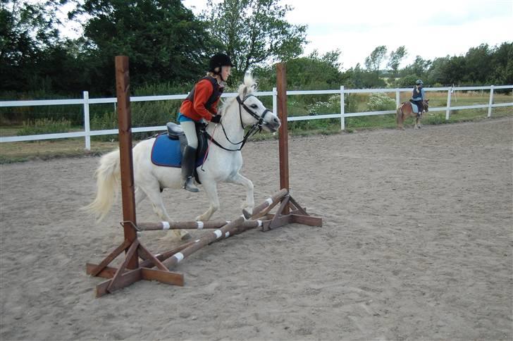 Anden særlig race Obelix - 12. oberlix er sjove sammen <3 billede 12