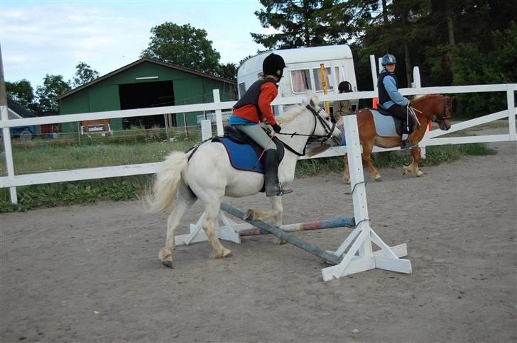 Anden særlig race Obelix - 13. obelix og mig springer sjovt sammen <3 billede 13