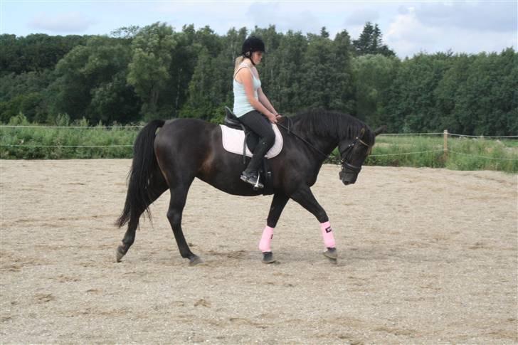 Oldenborg Dea gammel part.  - Dea & jeg <3 billede 3