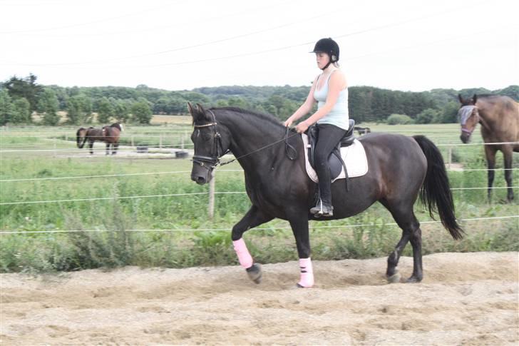 Oldenborg Dea gammel part.  - ude og ride <3 billede 6