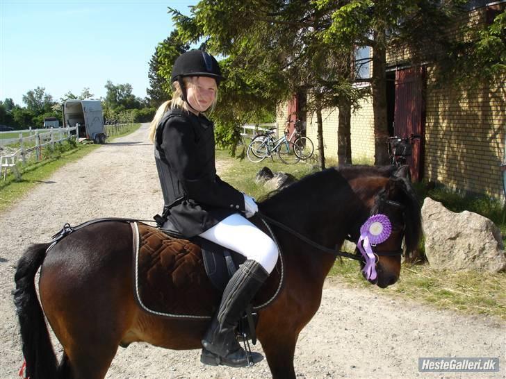 Dartmoor Filur ronda - Super stolt  Annesofie med rosette, til Filurs første stævne ( Amalie bag kamerate)  billede 14