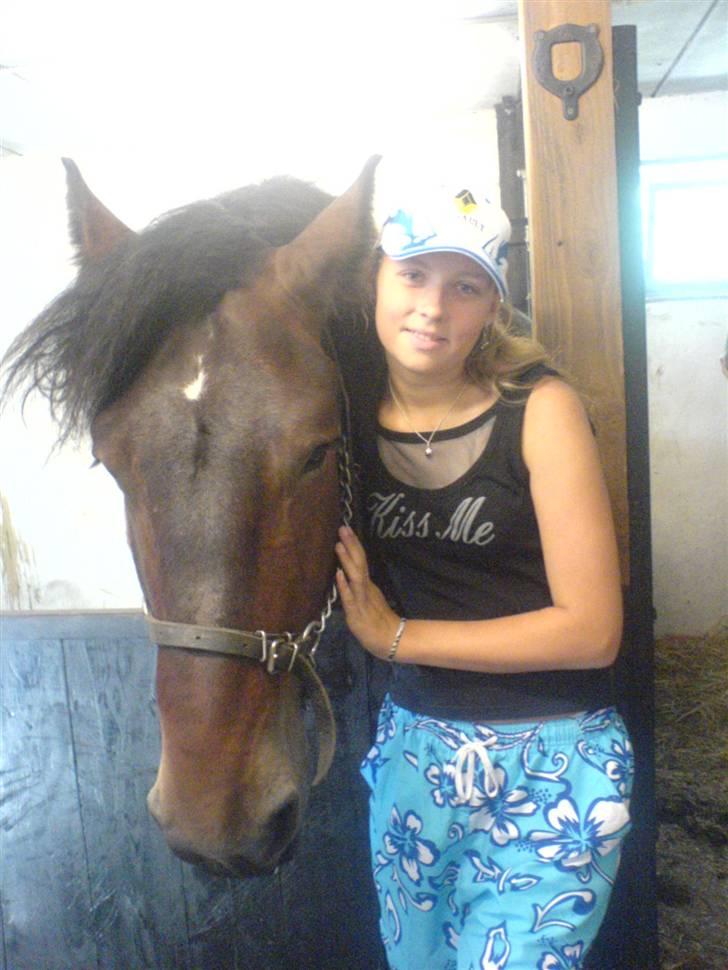 Belgier Bormosen´s Rollo (Hercules)  *SOLGT*  :´( billede 14