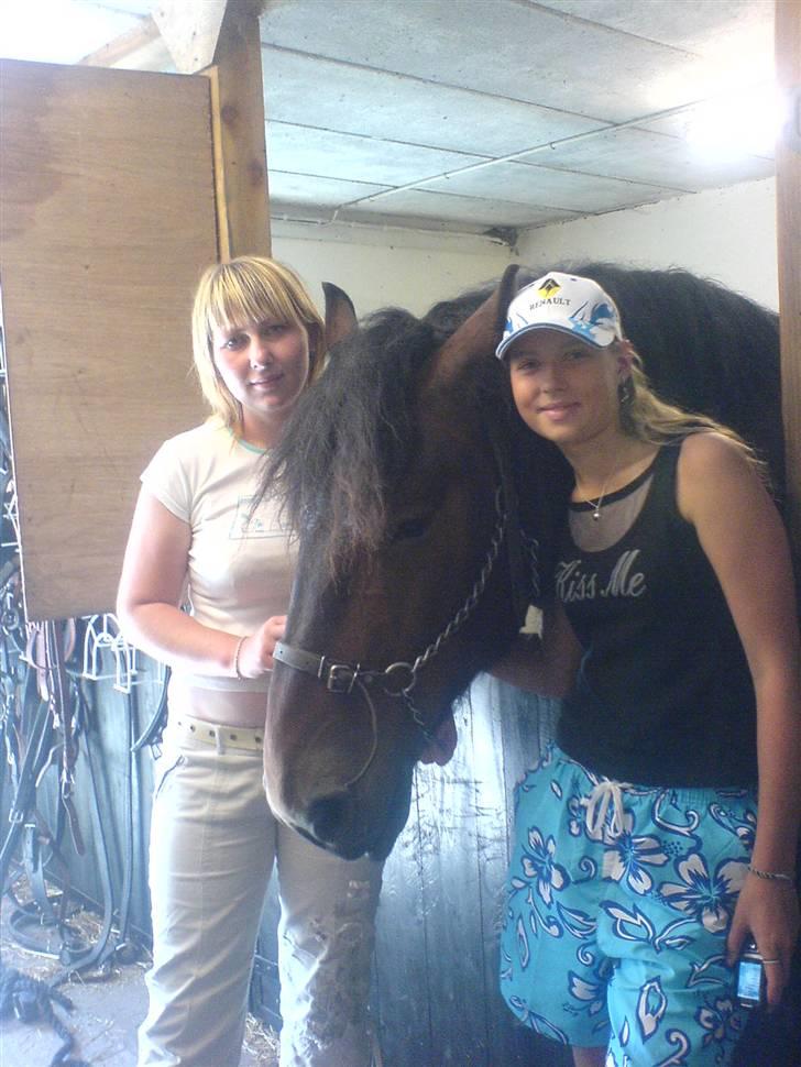 Belgier Bormosen´s Rollo (Hercules)  *SOLGT*  :´( billede 15