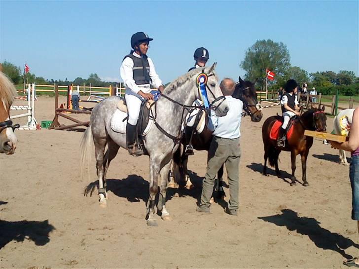 Anden særlig race Aladin *tidl lånepony. - springstævne ;) billede 3