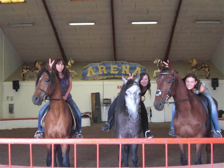 Pura Raza Española Javito 1  *Min Darling* <3 :* - Mainie Piaget , christina difon, og Javito og jeg :D  billede 18