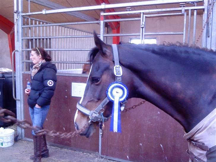 Tysk Sportspony Miss McGonagall - Vores første klubstævne 2 og 3 plads. billede 10